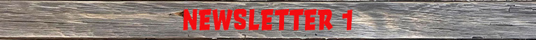 A sign that reads "Newsletter 1"
