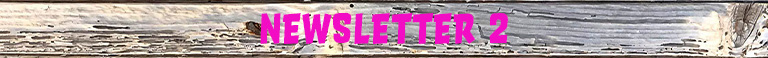 A sign that reads "Newsletter 2"